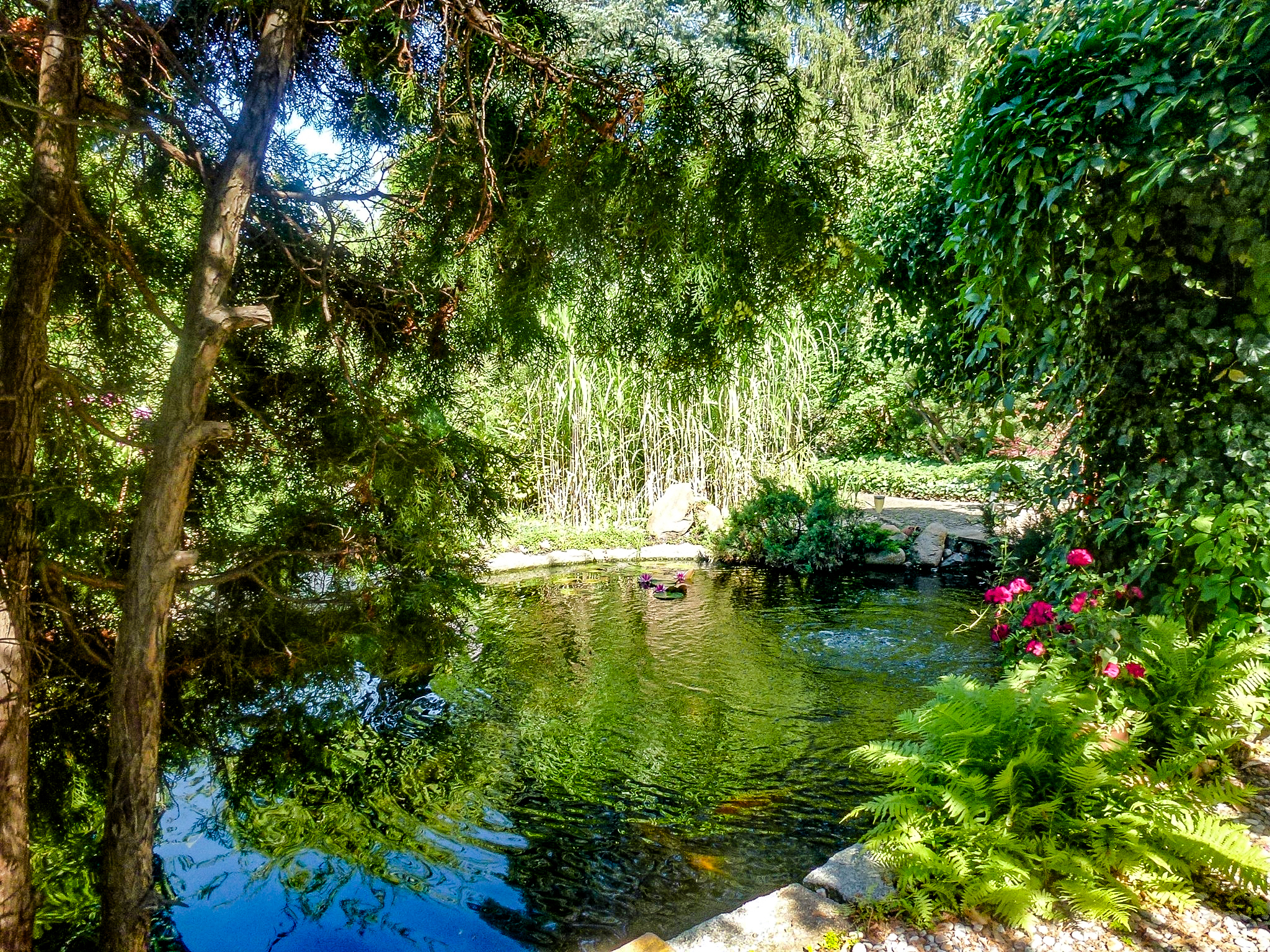 740aaa941f524ea698d34bd6c5f3b486